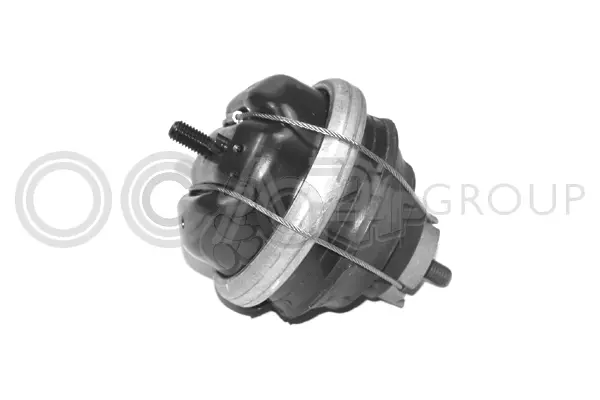 Mounting, engine (1225569)