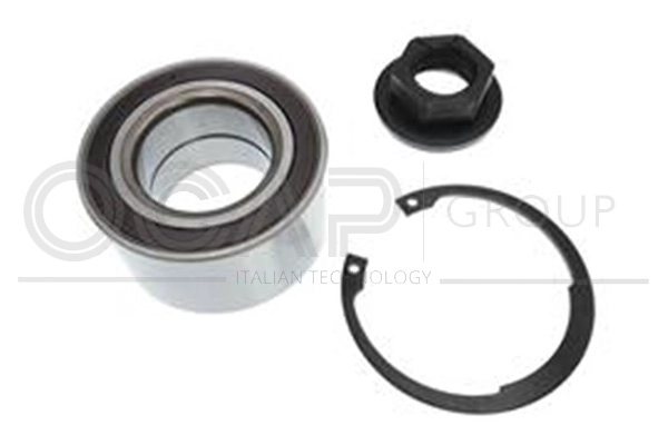 Wheel Bearing Kit (6120114)