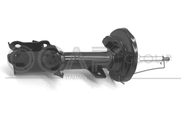 Shock Absorber (82218FL)