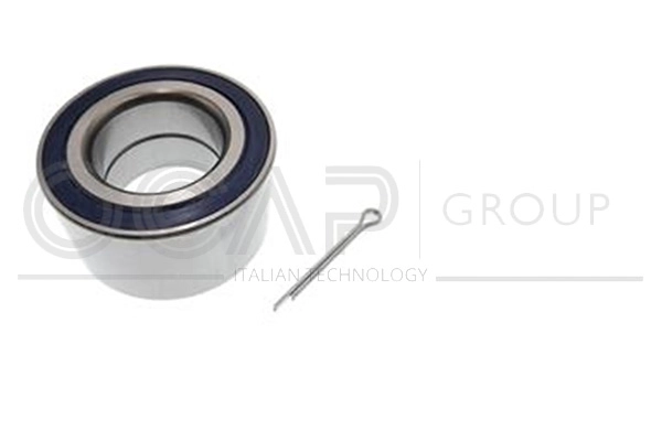 Wheel Bearing Kit (6120632)