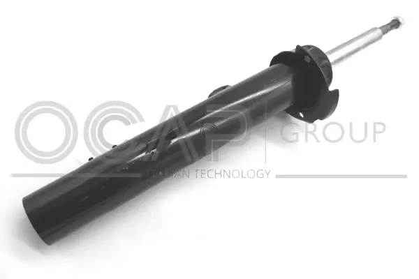 Shock Absorber (82385FL)