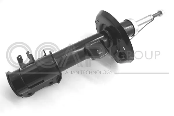 Shock Absorber (82383FR)