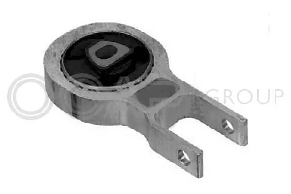 Holder, engine mounting system (1226351)