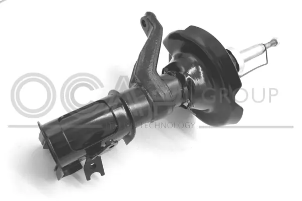 Shock Absorber (82420FL)
