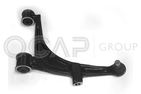 Control/Trailing Arm, wheel suspension (0391494)