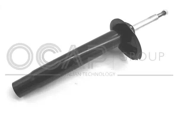 Shock Absorber (82354FL)