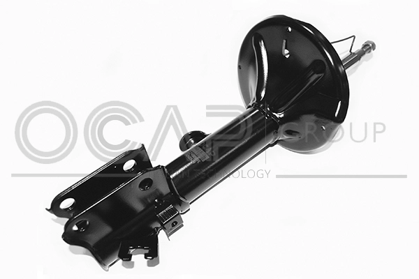 Shock Absorber (82495FR)