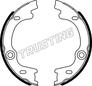Brake Shoe Set, parking brake (049.169)