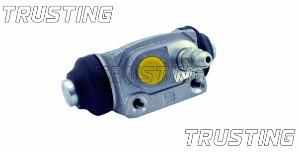 Wheel Brake Cylinder (CF253)