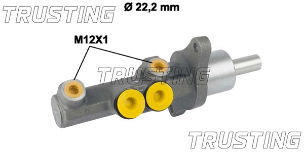 Brake Master Cylinder (PF869)