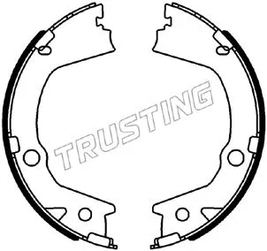 Brake Shoe Set, parking brake (040.164)