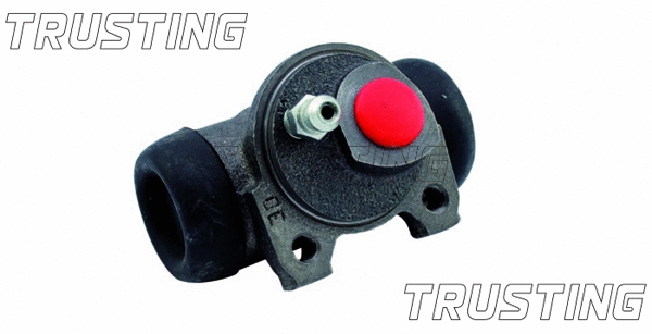 Wheel Brake Cylinder (CF052)