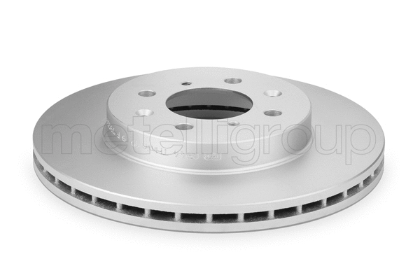 Brake Disc (DF300)