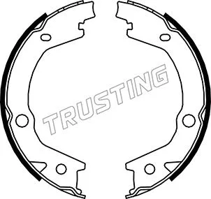 Brake Shoe Set, parking brake (046.220)