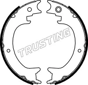 Brake Shoe Set, parking brake (110.339)