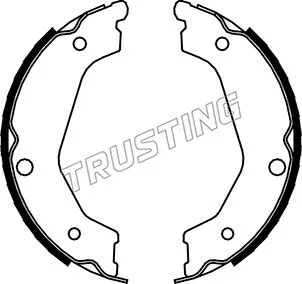 Brake Shoe Set, parking brake (049.162)