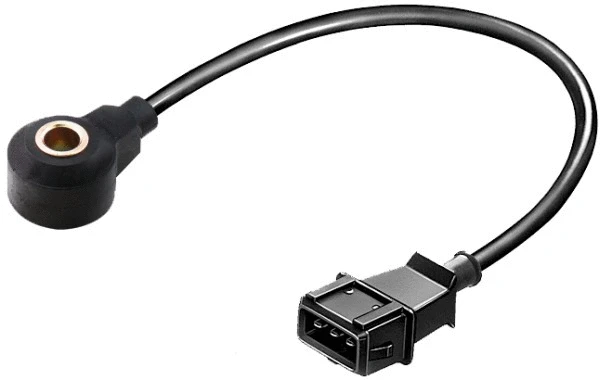 Knock Sensor (6PG 009 108-091)