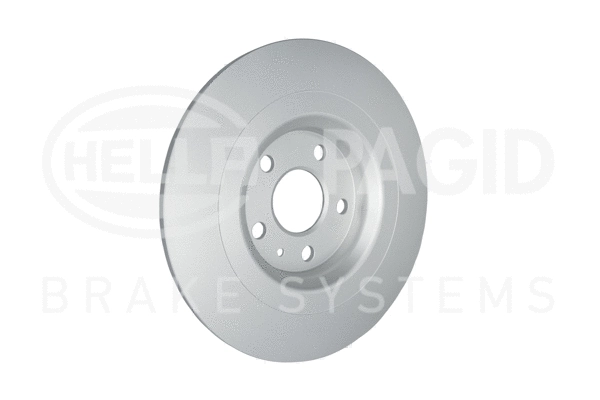 Brake Disc (8DD 355 132-121)