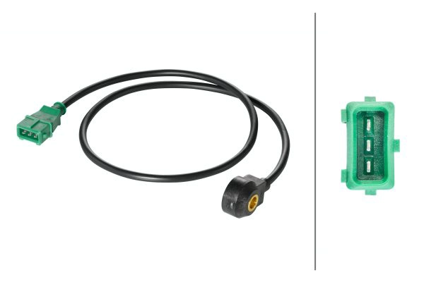 Knock Sensor (6PG 009 108-511)