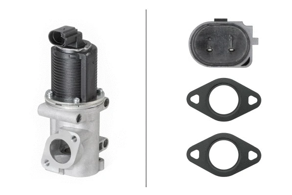 EGR Valve (6NU 010 171-541)