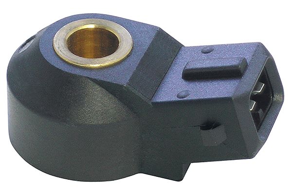 Knock Sensor (6PG 358 281-631)