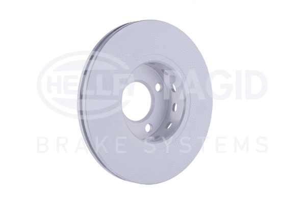 Brake Disc (8DD 355 103-081)