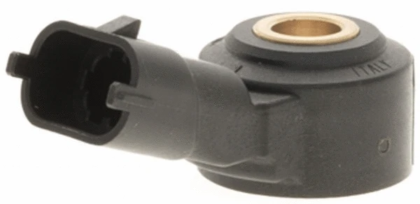 Knock Sensor (6PG 009 108-621)