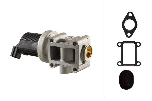 EGR Valve (6NU 010 171-401)