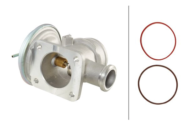 EGR Valve (6NU 014 864-091)