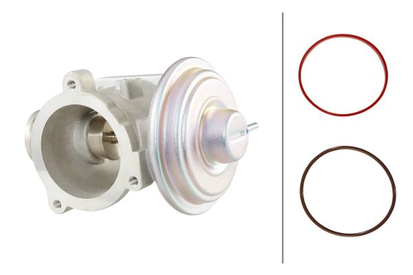 EGR Valve (6NU 010 171-701)