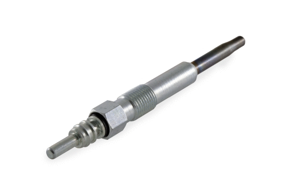 Glow Plug (8EG 008 498-261)