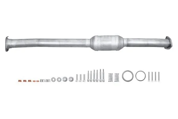 Catalytic Converter (8LE 366 050-501)