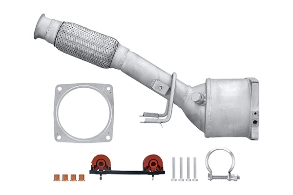 Catalytic Converter (8LE 366 052-491)