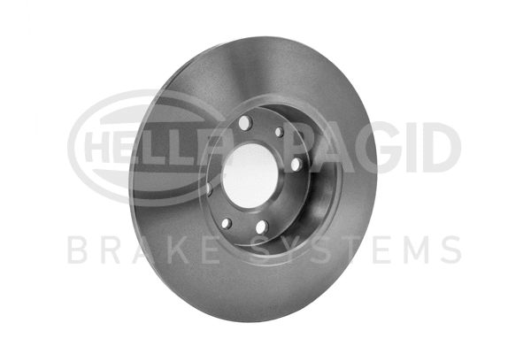 Brake Disc (8DD 355 101-131)