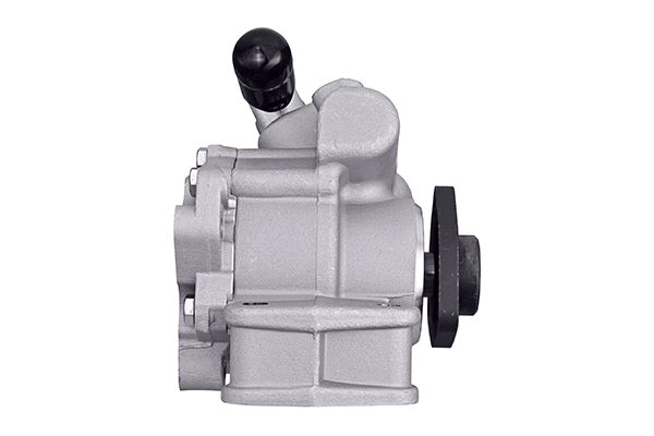 Hydraulic Pump, steering (8TL 359 003-191)