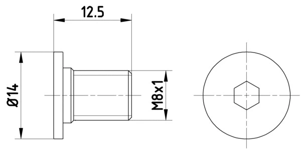 Bolt, brake disc (8DZ 355 209-021)