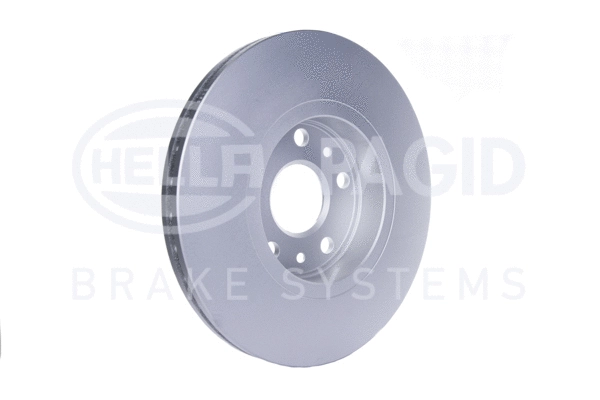 Brake Disc (8DD 355 117-781)