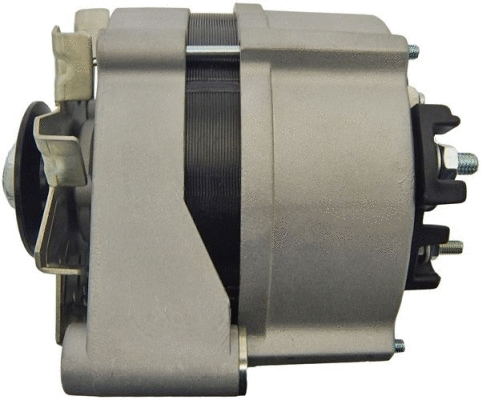 Alternator (8EL 012 428-861)