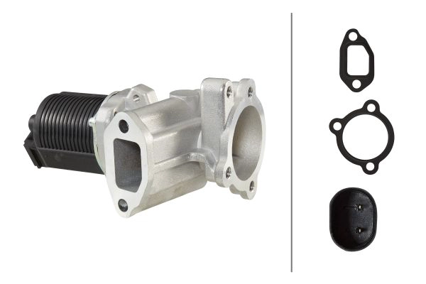 EGR Valve (6NU 010 171-421)