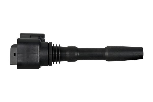 Ignition Coil (5DA 358 168-821)