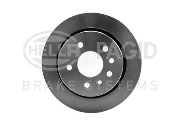 Brake Disc (8DD 355 112-491)