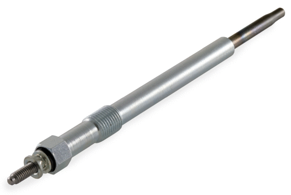 Glow Plug (8EG 008 498-141)