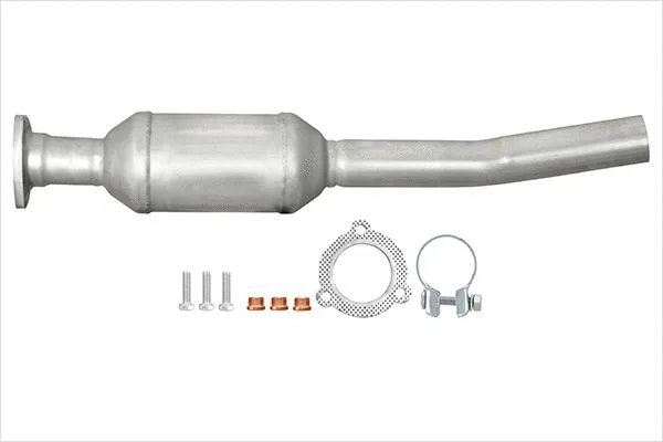 Catalytic Converter (8LE 366 051-561)