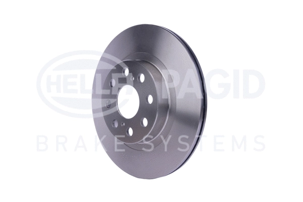 Brake Disc (8DD 355 113-081)