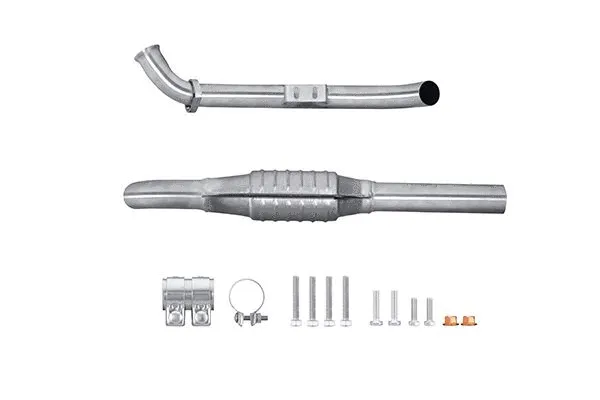 Catalytic Converter (8LE 366 052-741)