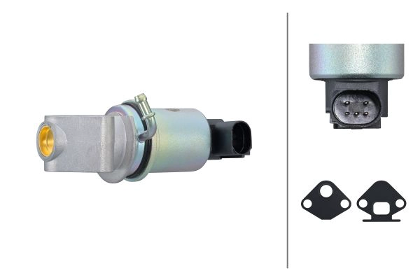 EGR Valve (6NU 014 865-431)