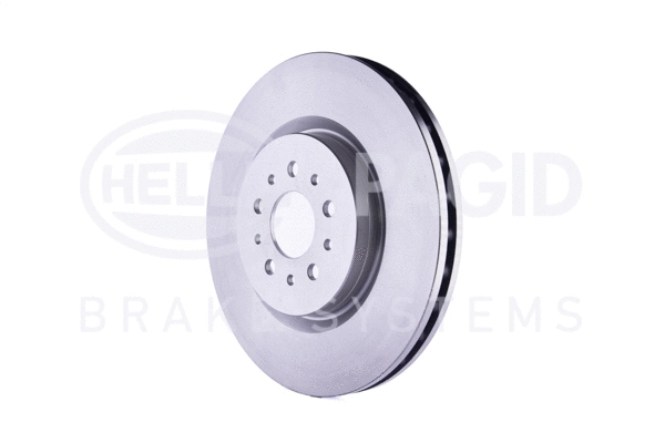 Brake Disc (8DD 355 106-171)