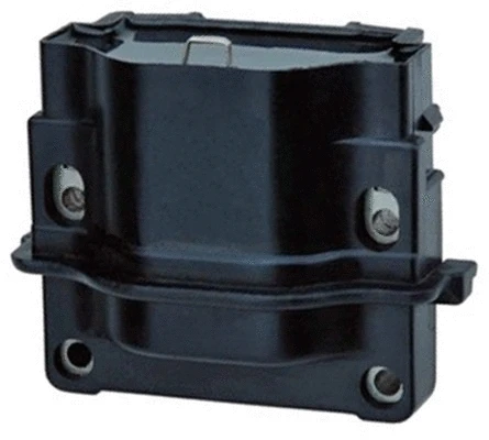 Ignition Coil (5DA 358 000-601)