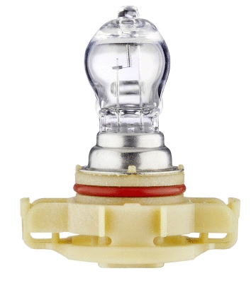 Bulb, front fog light