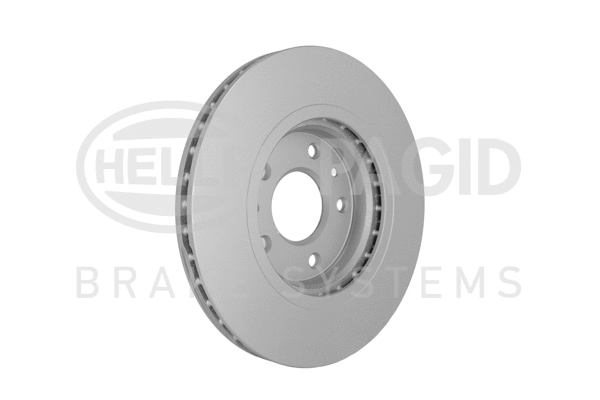 Brake Disc (8DD 355 122-791)